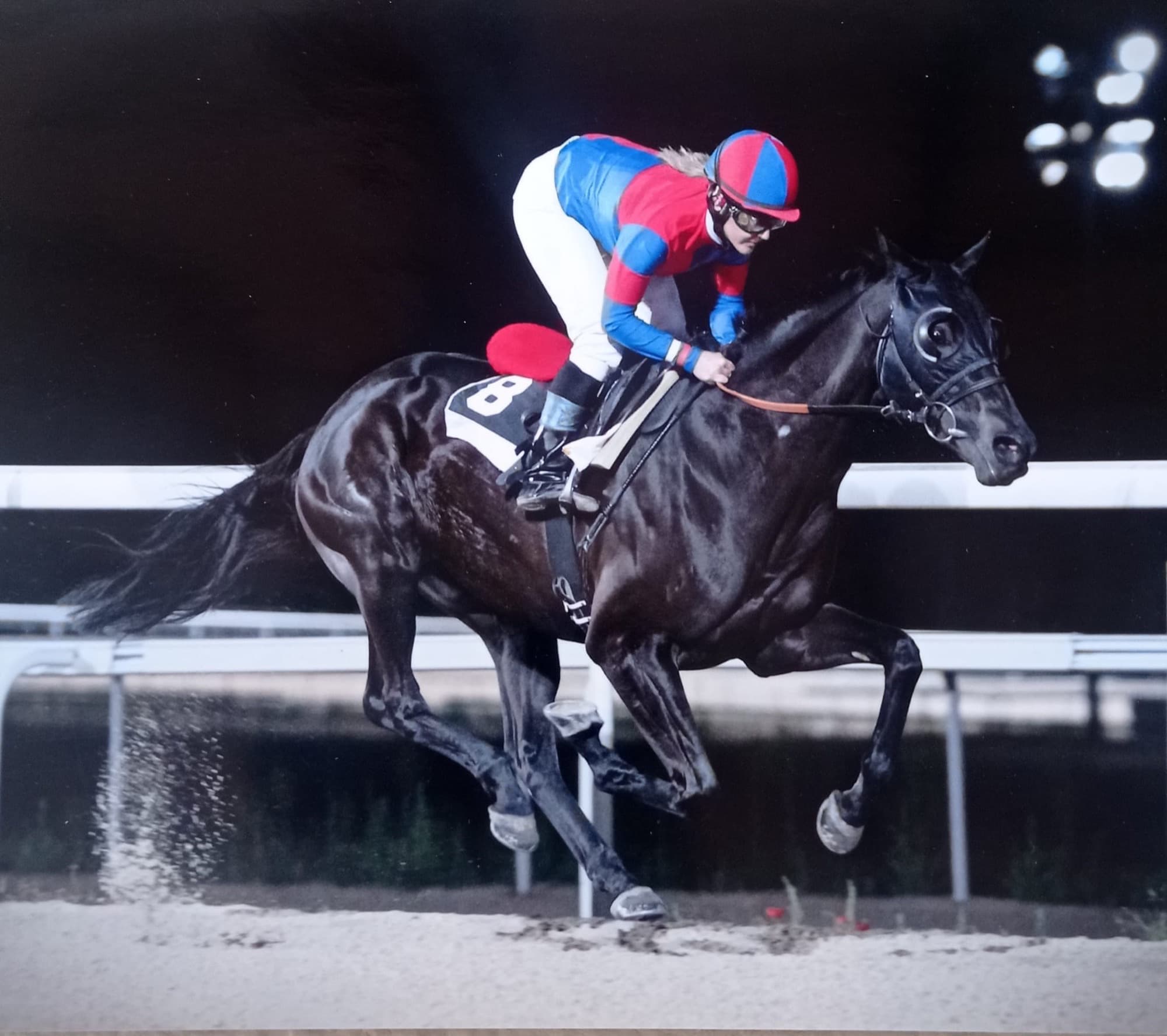 El caballo Gran Fegón