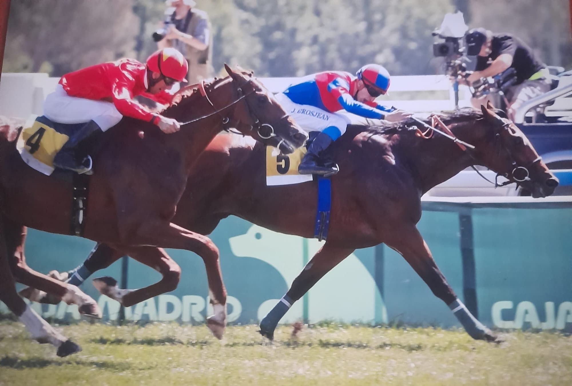 El caballo Turrialba